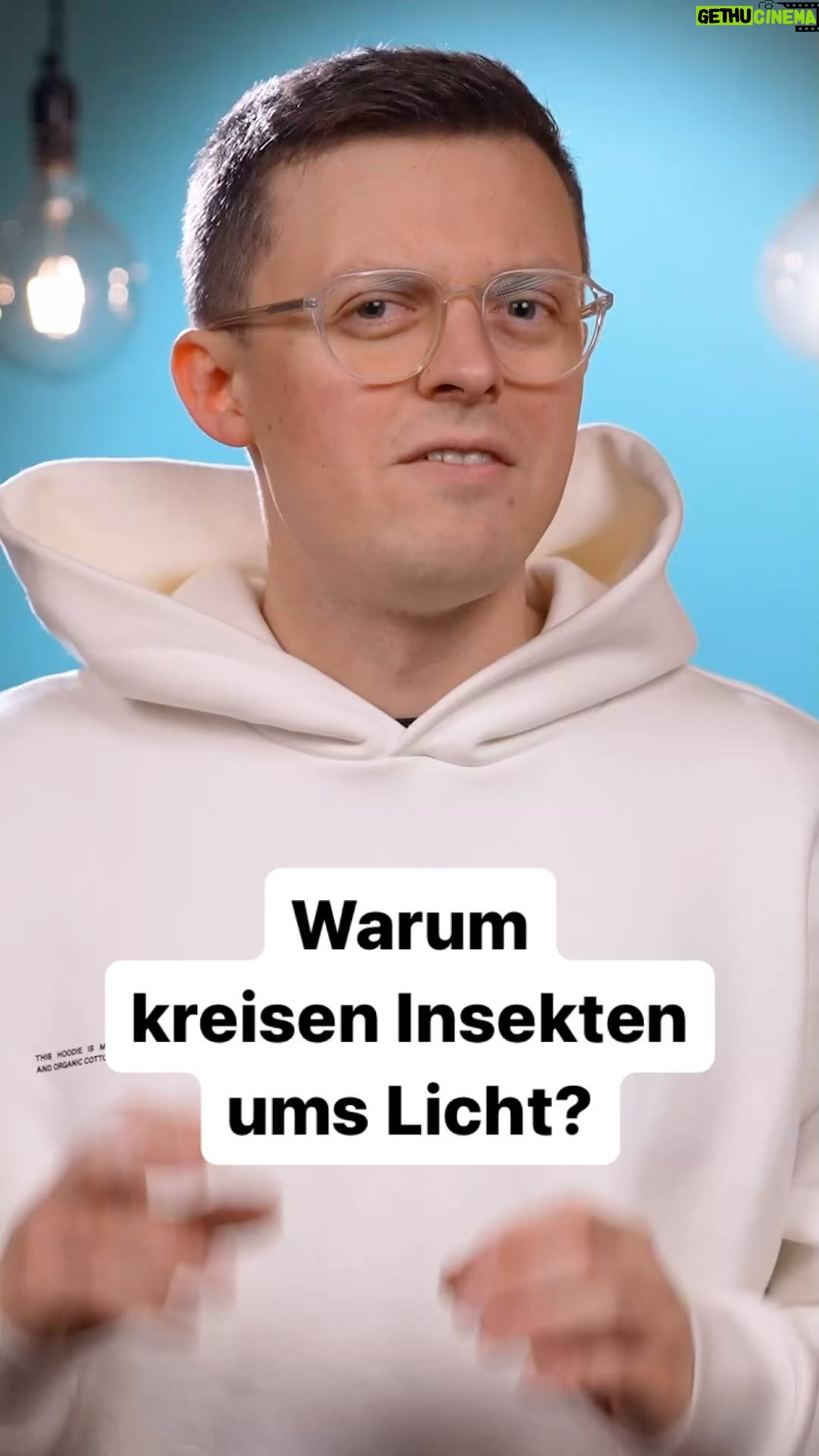 Jacob Beautemps - 749 Likes - Warum kreisen Insekten ums Licht, was dachtet ihr? šŖ°š”š #Biologie #Funfact