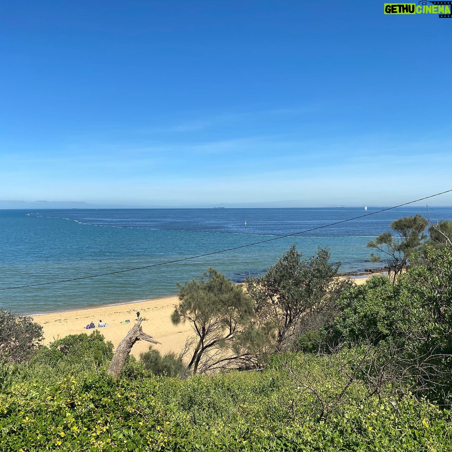Jacqueline Brennan - 1.7K Likes - Glorious day for a walk by the bay. @allyfowler1 🌻🌻🌻🌻