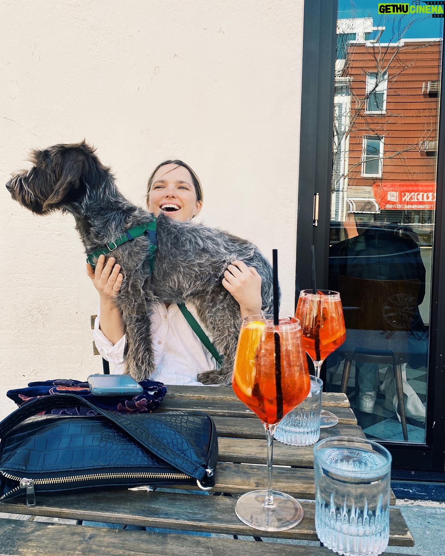Jacqueline Byers - 810 Likes - Live. Laugh. Love. Dog.