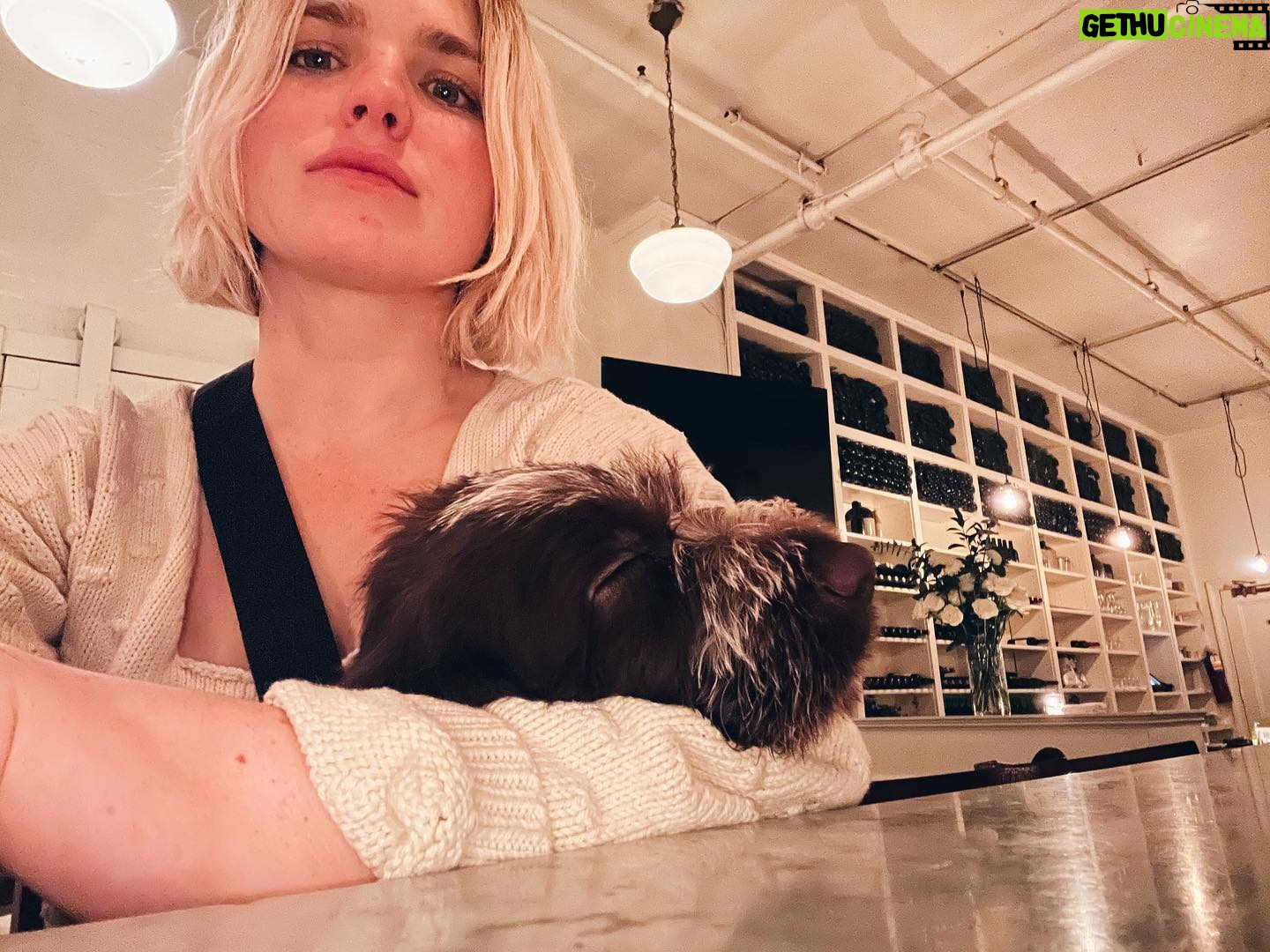 Jacqueline Byers - 1.2K Likes - Boone Dog’s first of many visits to @estancia460.