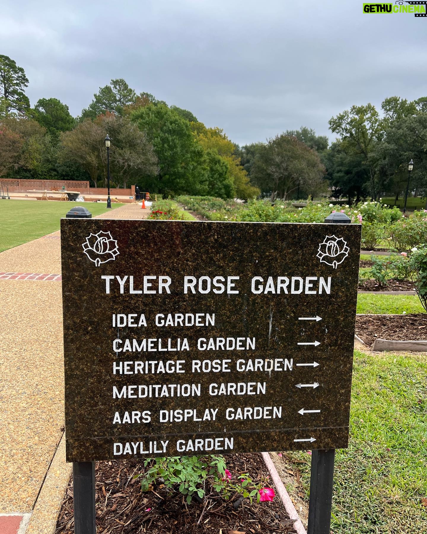 Jacqueline Moore - 1.5K Likes - At the Tyler Rose Garden museum.
#Tyler #Roses #Texas #garden