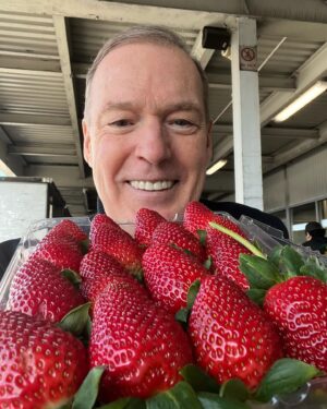 Jacques Torres Instagram - Just picked up long stem strawberries 🍓 and we are ready to dip for tomorrow and Wednesday. They sell out quickly so come early to Grand Central or our Dumbo store