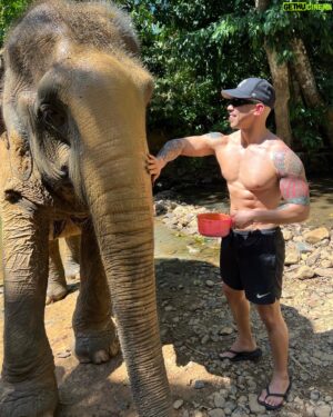Jae Fusz Instagram - A magical day with the Elephants 🐘