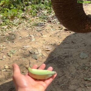 Jae Fusz Instagram - A magical day with the Elephants 🐘