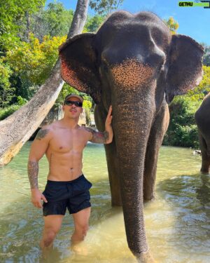 Jae Fusz Instagram - A magical day with the Elephants 🐘