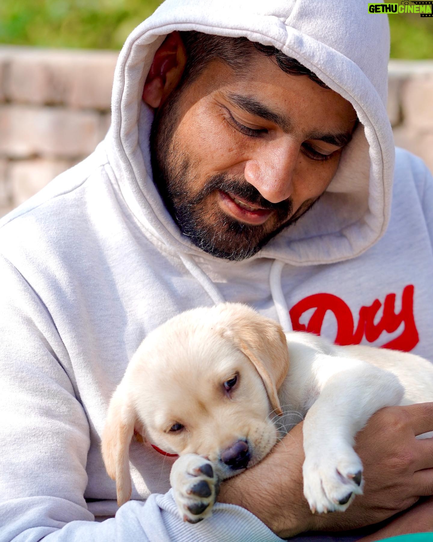 Jagdeep Sidhu - 4.5K Likes - Kuchh yaar aaye hai mujhe wafa sikhane 🐶 ♥️🤗🤗 so many blissful baby steps on JJ3 set …blessed 😇❤️.
