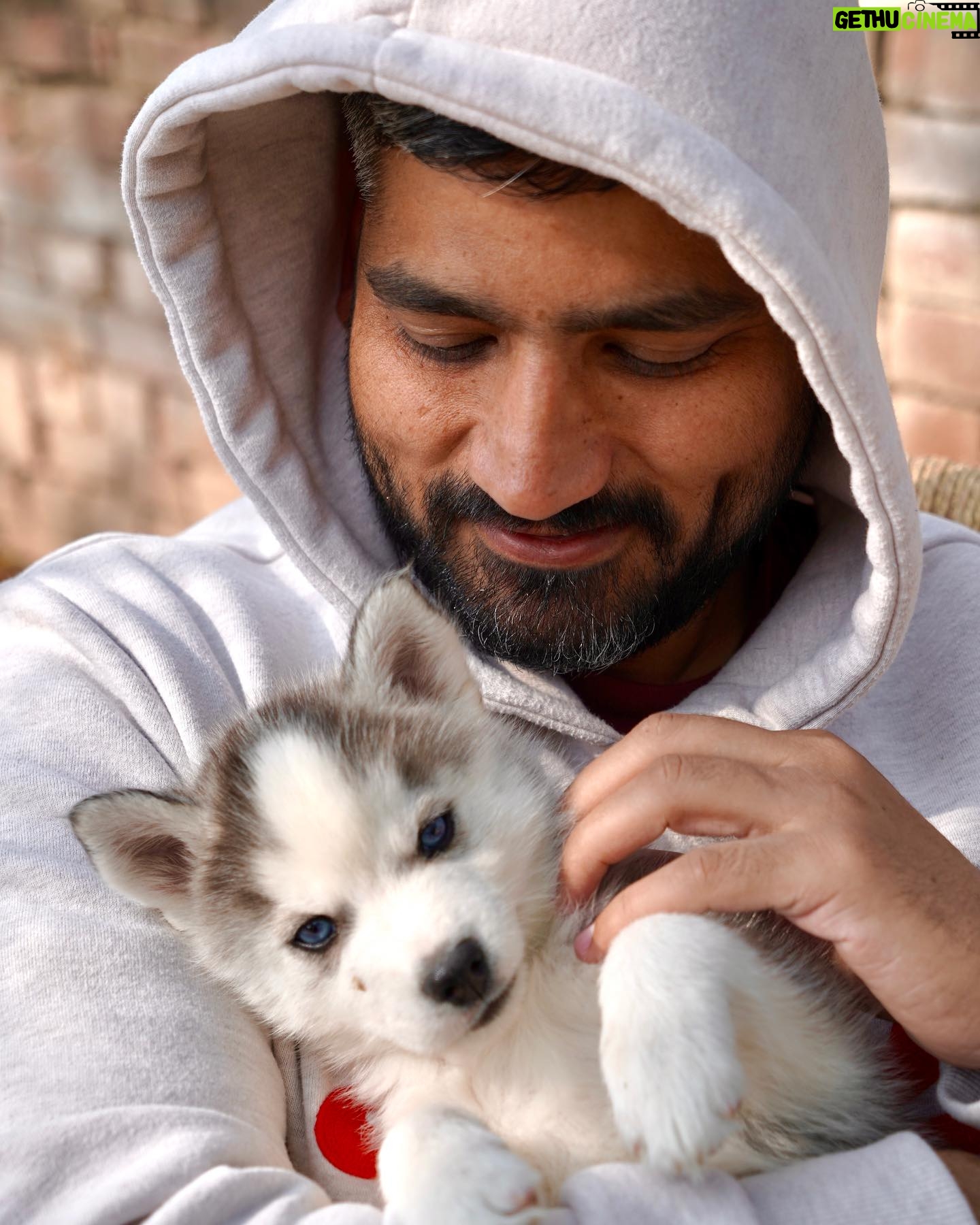 Jagdeep Sidhu - 4.5K Likes - Kuchh yaar aaye hai mujhe wafa sikhane 🐶 ♥️🤗🤗 so many blissful baby steps on JJ3 set …blessed 😇❤️.
