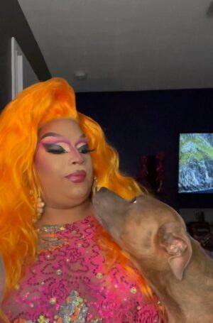 Jaidynn Diore Fierce Instagram - OH YES!! Ft Lauderdale! I’m STOKED to be back at @hamburgermaryswiltonmanors THIS weekend for Labor Day! Join us for a #Fierce show! I can’t wait! Get your reservations now as seating is limited! Video Rudely interrupted by my handsome puppy boy Bentley Diore ❤️💃🏽🐕 hair,makeup, and look by me @jaidynnfierce I used my favorite eyeshadow pallete by my sister @fabeyonc_e and it is SUPER pigmented! I love it. Check it out at @rubymaycosmetics #jaidynndiorefierce #rupaulsdragrace #hamburgermarys #dragqueensanddogs #puppiesofinstagram #puppiesoftiktok #pitbullterrier #pitbullmix #pitbull #pitbullmom
