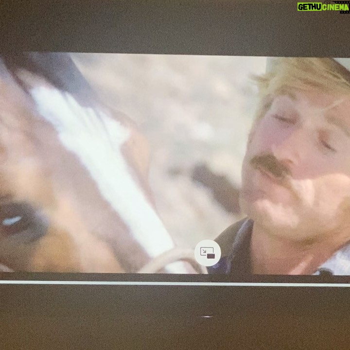 Jaime Bergman - 1.1K Likes - Watched The Electric Horseman the other night. I posted a scene on my insta stories, and my mom texted me the next day reminding me that the horse in the movie was the Sir (father) to my high school rodeo horse, Tut. I completely forgot! So, cheers to beautiful horses and the joy they bring us. He could do anything! I miss him so much š¤ swipe #theelectrichorseman #classic #cowboys #nhsra