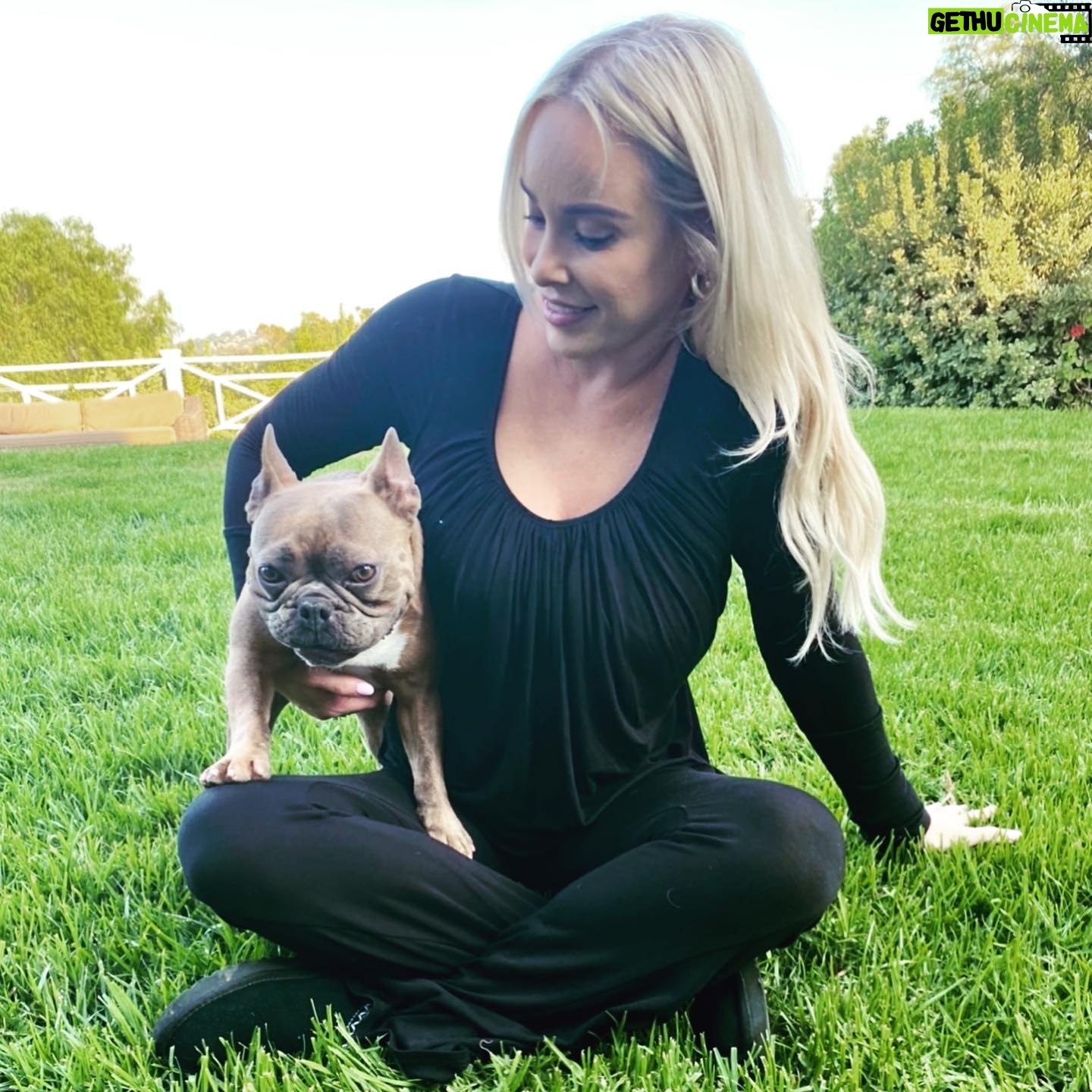 Jaime Bergman - 2.4K Likes - Guess whoās birthday it is today? @louisvthelegend turns two years old. I just had to put on my best lounge wear for this very special occasion! Iāve learned a lot about myself during this lengthy quarantine process... I hate wearing a bra after 7pm. This clothing line has a built in bra that is super comfortable. @jjwinks is my hero. Happy Birthday to my big hearted Bully. #happysaturday #jjwinks