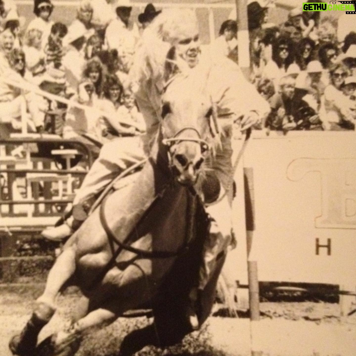 Jaime Bergman - 1.1K Likes - Watched The Electric Horseman the other night. I posted a scene on my insta stories, and my mom texted me the next day reminding me that the horse in the movie was the Sir (father) to my high school rodeo horse, Tut. I completely forgot! So, cheers to beautiful horses and the joy they bring us. He could do anything! I miss him so much š¤ swipe #theelectrichorseman #classic #cowboys #nhsra