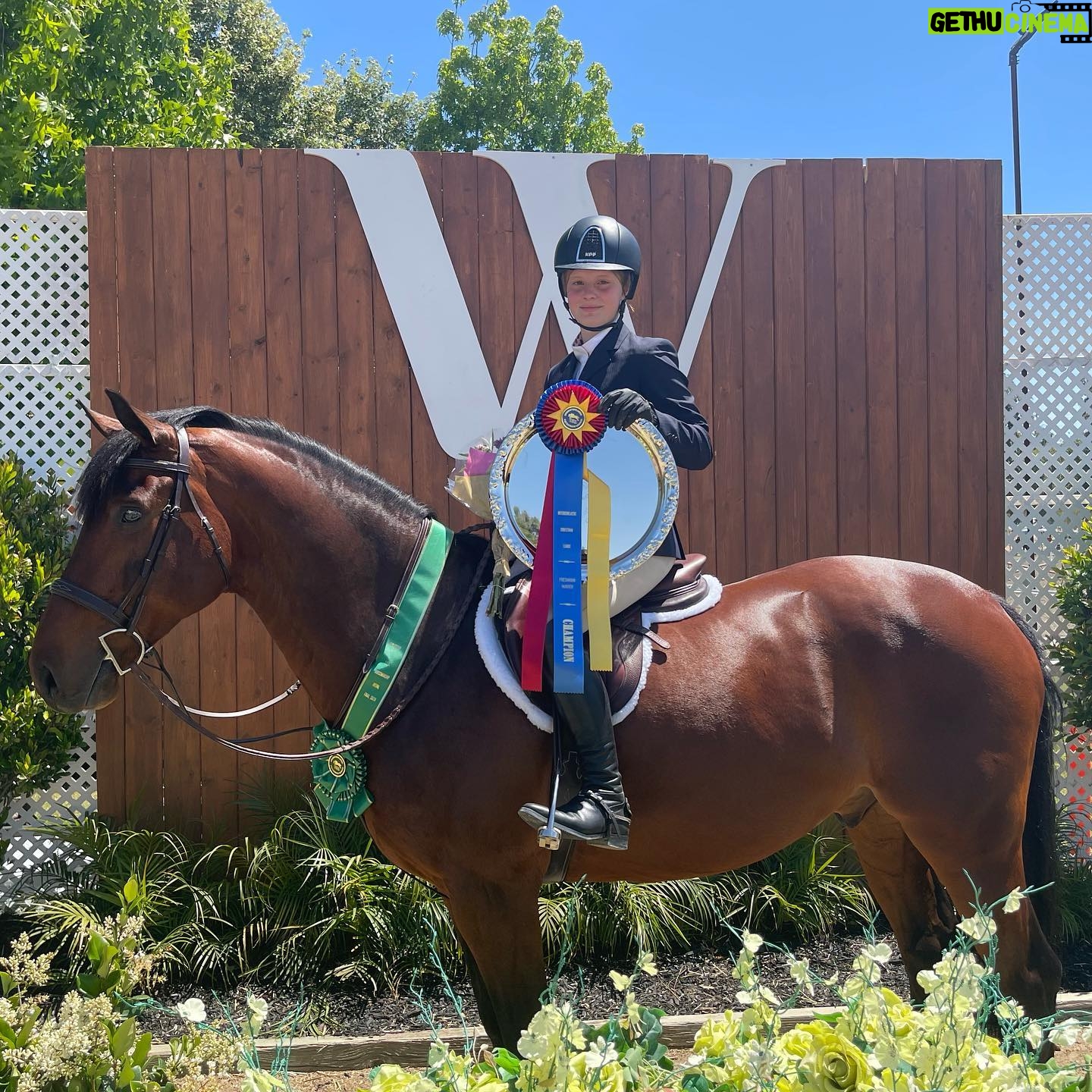 Jaime Bergman - 1.2K Likes - š Bella is the 2021-2022 Interscholastic Equestrian League Overall Freshman Hunter Champion (even though sheās in the 6th grade). We are so incredibly proud of you Bella! Go Eagles š¦
Thank you @futurity_farms!! #equestrianteam #hunters #seasonchampions