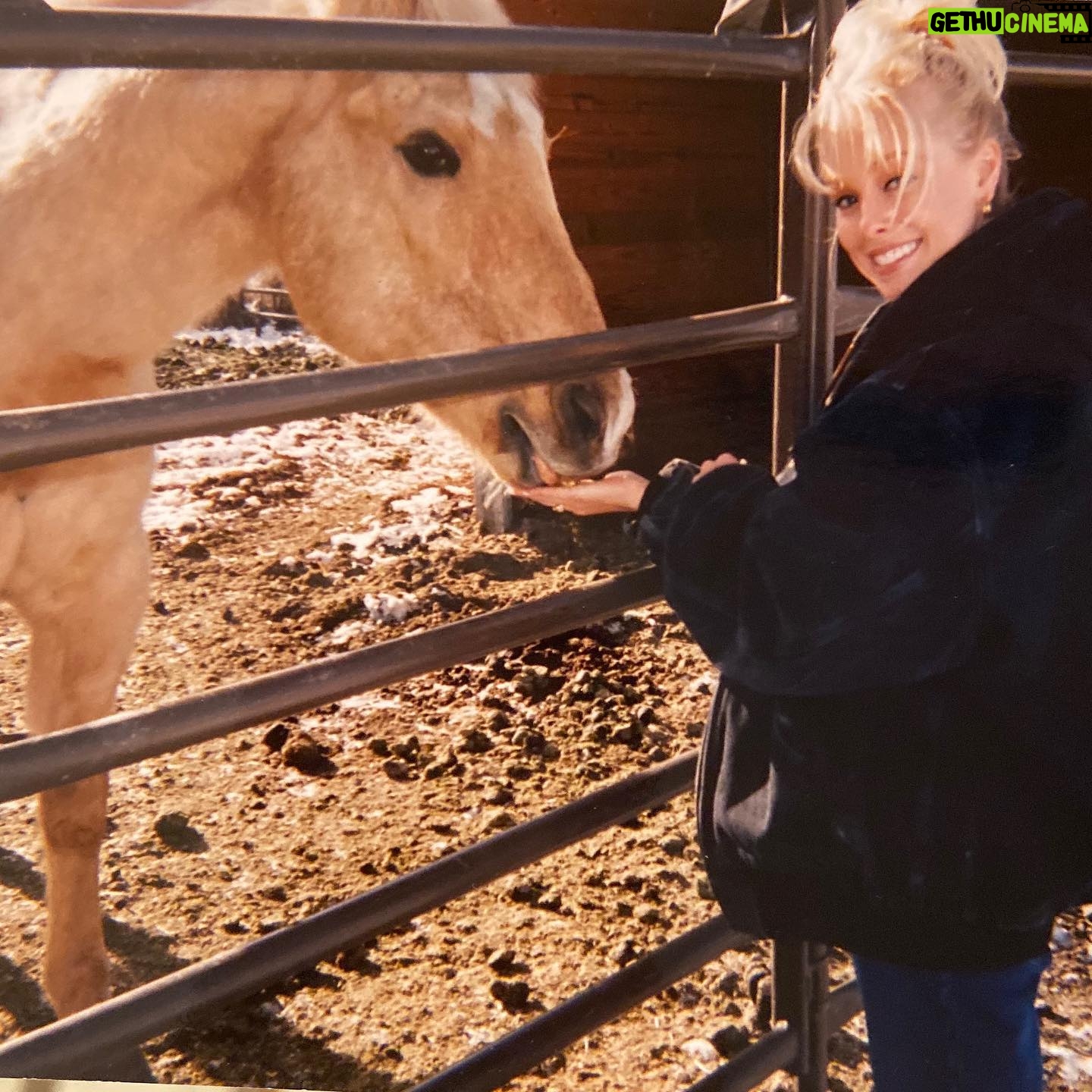 Jaime Bergman - 1.9K Likes - We were both naturally blonde š±āāļøš±āāļø. This guy will always be in my heart. I miss you 3rd pick was my backyard growing up. #fbf #dayofthehorse #nationaldayofthehorse