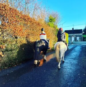 Jaime Bergman Instagram - Ireland you have my heart 💚 thank you @clarinaequestrian for an unforgettable day of riding.  My posting trot 🤷‍♀️ Bella”s jumping 🙌. Until next time… #equestrainlife