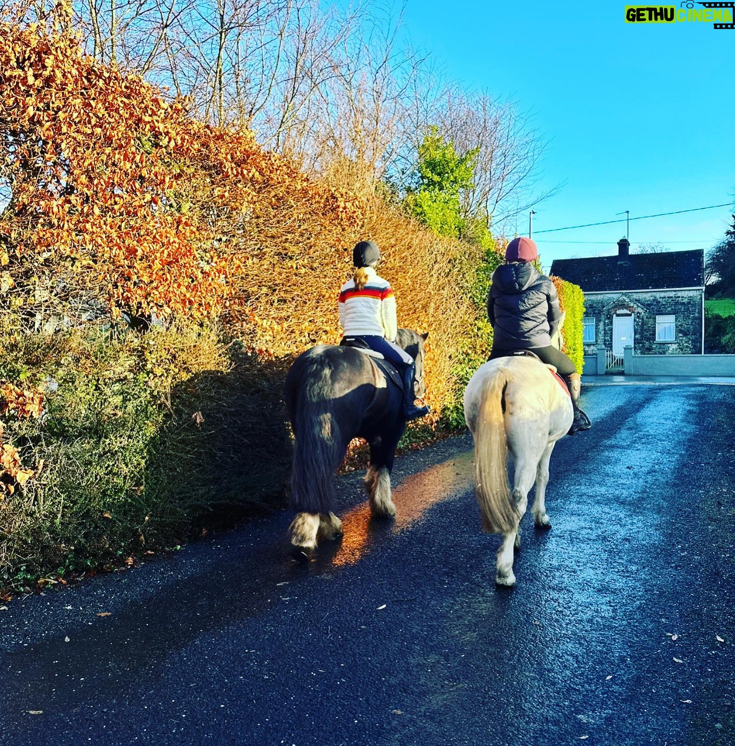 Jaime Bergman - 1K Likes - Ireland you have my heart š thank you @clarinaequestrian for an unforgettable day of riding. My posting trot š¤·āāļø Bellaās jumping š. Until next time⦠#equestrainlife