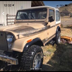 Jaime Bergman Instagram - This 1976 CJ7 Jeep belonged to my late father.  I remember off roading & exploring with him many times in this Jeep.  It’s been sitting for years just rotting, but now it’s on its way to me from UT to CA for some TLC.  I’m so happy to keep this special memory alive, and excited to get it running and fixed up!  Thank you @imdboreanaz , Mom, Ty, and Tony for making this happen.  #jeep #cj7 ❤️