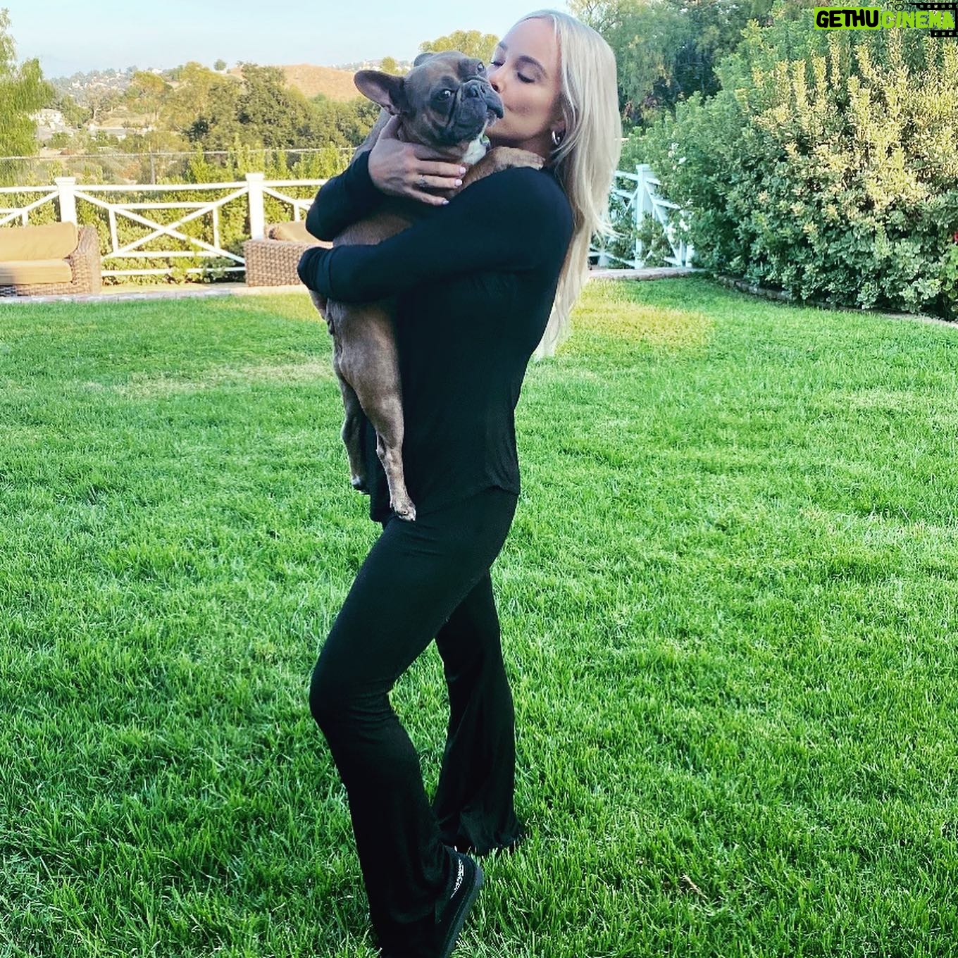 Jaime Bergman - 2.4K Likes - Guess whoās birthday it is today? @louisvthelegend turns two years old. I just had to put on my best lounge wear for this very special occasion! Iāve learned a lot about myself during this lengthy quarantine process... I hate wearing a bra after 7pm. This clothing line has a built in bra that is super comfortable. @jjwinks is my hero. Happy Birthday to my big hearted Bully. #happysaturday #jjwinks