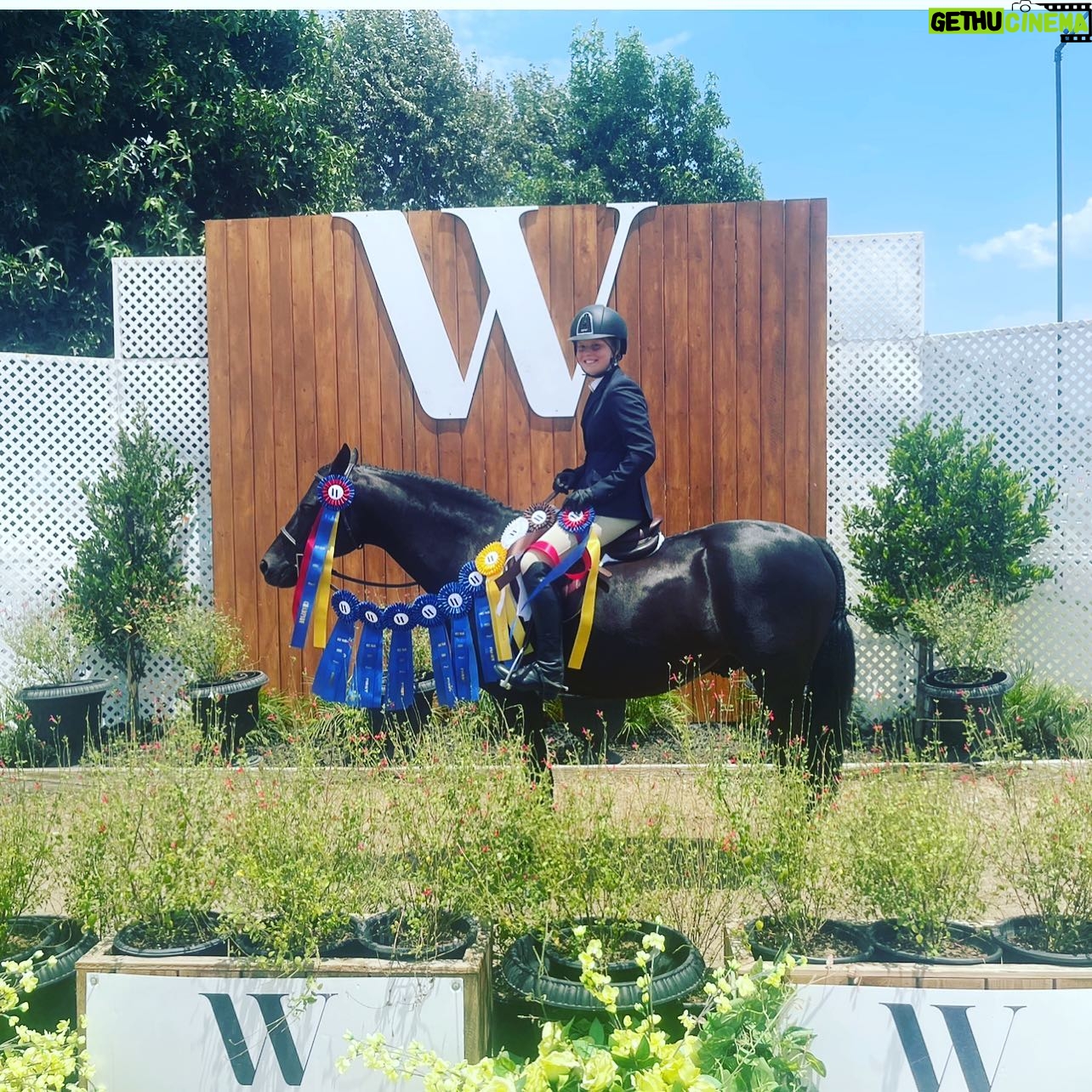 Jaime Bergman - 1.8K Likes - Bella conquered this weekend at the @westpalmsevents Hollywood Classic. Bella decided she wanted to advance to the 2ā6 division at the 11th hour, and won overall champion out of 26 riders, AND she was the only rider on a pony. Also, won overall champion in the Short Stirrup before she decided to jump higher! Won a medal class as well š
She works her butt off, and the hard work shows. Candy Crush is a unicorn! Thank you @futurity_farms for giving Bella the confidence and skills to make her equestrian dreams come true! So happy š #hunterjumper #pony #candycrush #proudmom