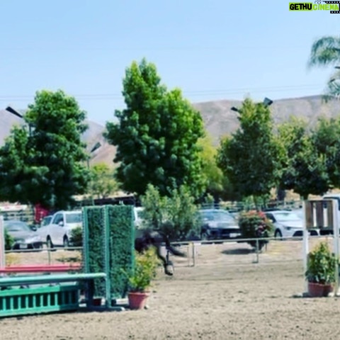 Jaime Bergman - 1.8K Likes - Bella conquered this weekend at the @westpalmsevents Hollywood Classic. Bella decided she wanted to advance to the 2ā6 division at the 11th hour, and won overall champion out of 26 riders, AND she was the only rider on a pony. Also, won overall champion in the Short Stirrup before she decided to jump higher! Won a medal class as well š
She works her butt off, and the hard work shows. Candy Crush is a unicorn! Thank you @futurity_farms for giving Bella the confidence and skills to make her equestrian dreams come true! So happy š #hunterjumper #pony #candycrush #proudmom