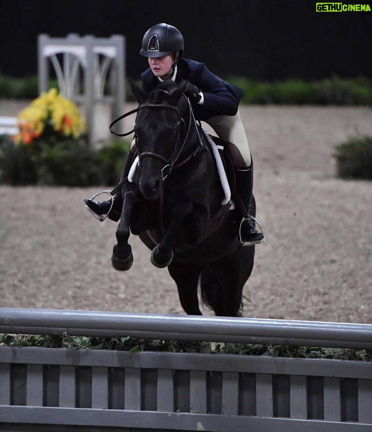 Jaime Bergman - 1K Likes - Bella & Candy Crush blew me away this week with their calmness & focus at the USHJA National Championships in Las Vegas! Competing in the largest division (did you see my previous post?) of the entire show. Bella brought home a 3rd, 4th, 8th, and 9th ribbon, and I couldnāt be more proud of this team. This was a huge achievement for Bella. Most of you only see the success on my posts vs. the struggles and the blood, sweat & tears. Bella and I have learned so much in the show world, and we look forward to learning even more if this is what Bella continues to strive for. Time to relax and celebrate the holidays! Thank you @futurity_farms! #ushjanationals #hunters #ponypower #proudmommymomentā¤ļøļø photo by @andrewrybackphotography