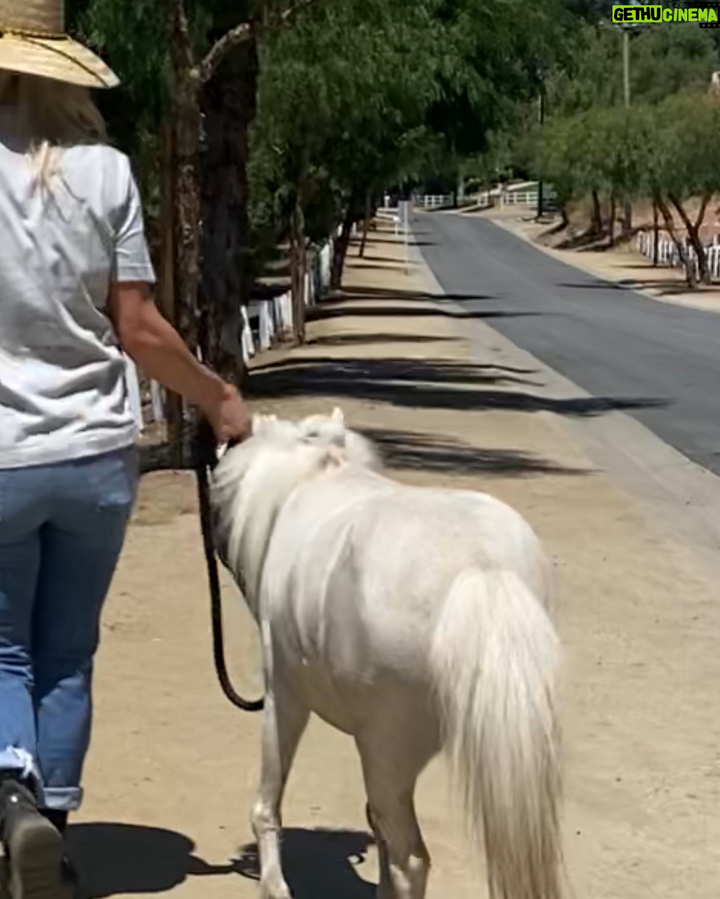 Jaime Bergman - 1K Likes - Happy Trails š¤ #notmine #yet #mightnotreturn #minihorse #dolly
