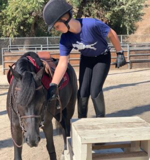 Jaime Bergman Instagram - New family member alert 🚨. We are taking this new relationship one ride at a time, and the first step is just getting on.  We love you Candy Crush aka Romeo. 💕 🍬 💕 #ilovehim #teacher #bestillmyheart #backtowork
