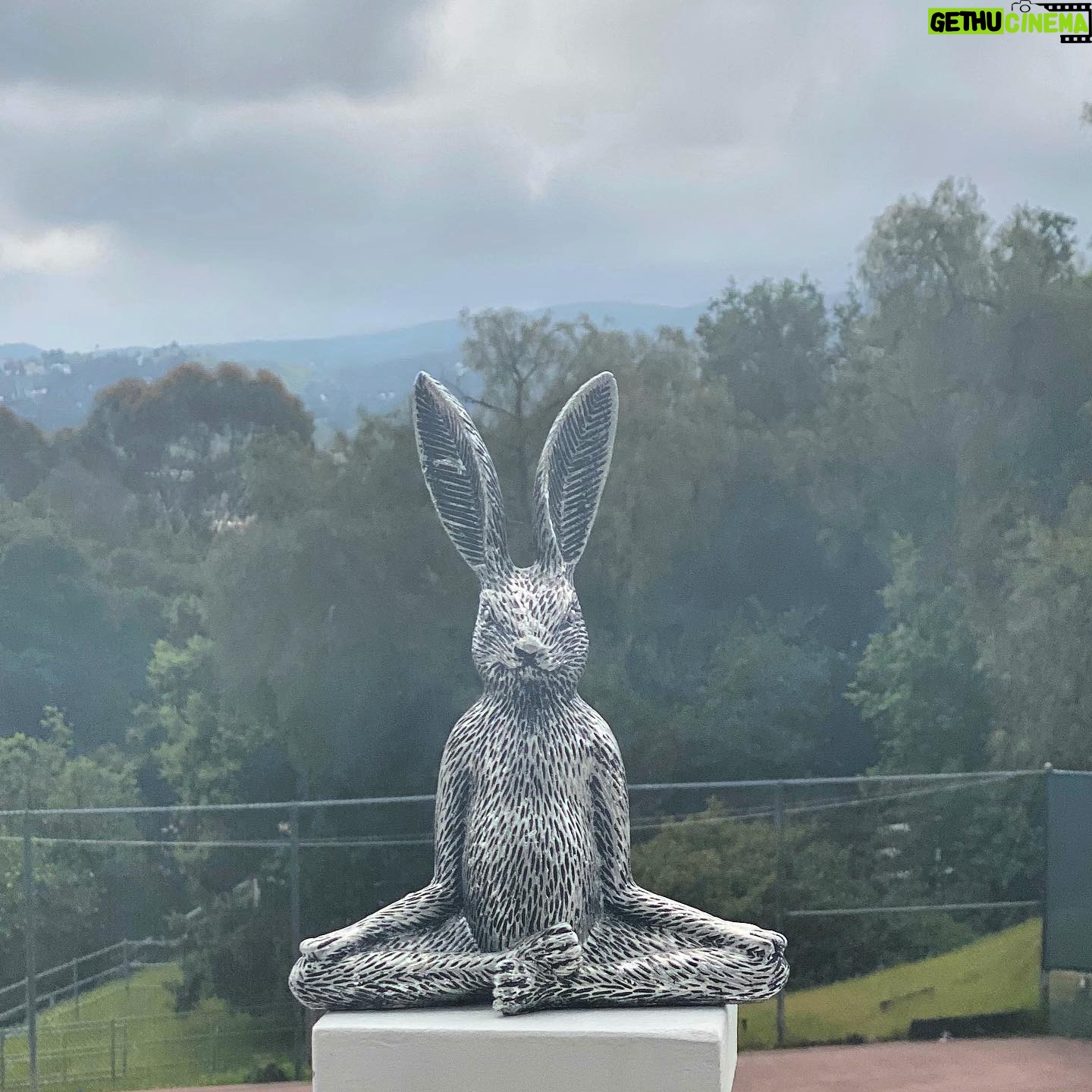 Jaime Bergman - 1K Likes - Wishing you all a peaceful & zen Easter Sunday. Praying for those who are suffering, the frontlines, essential workers, and to anyone that just needs hope. Happy Easter āļøš£š° #riseup