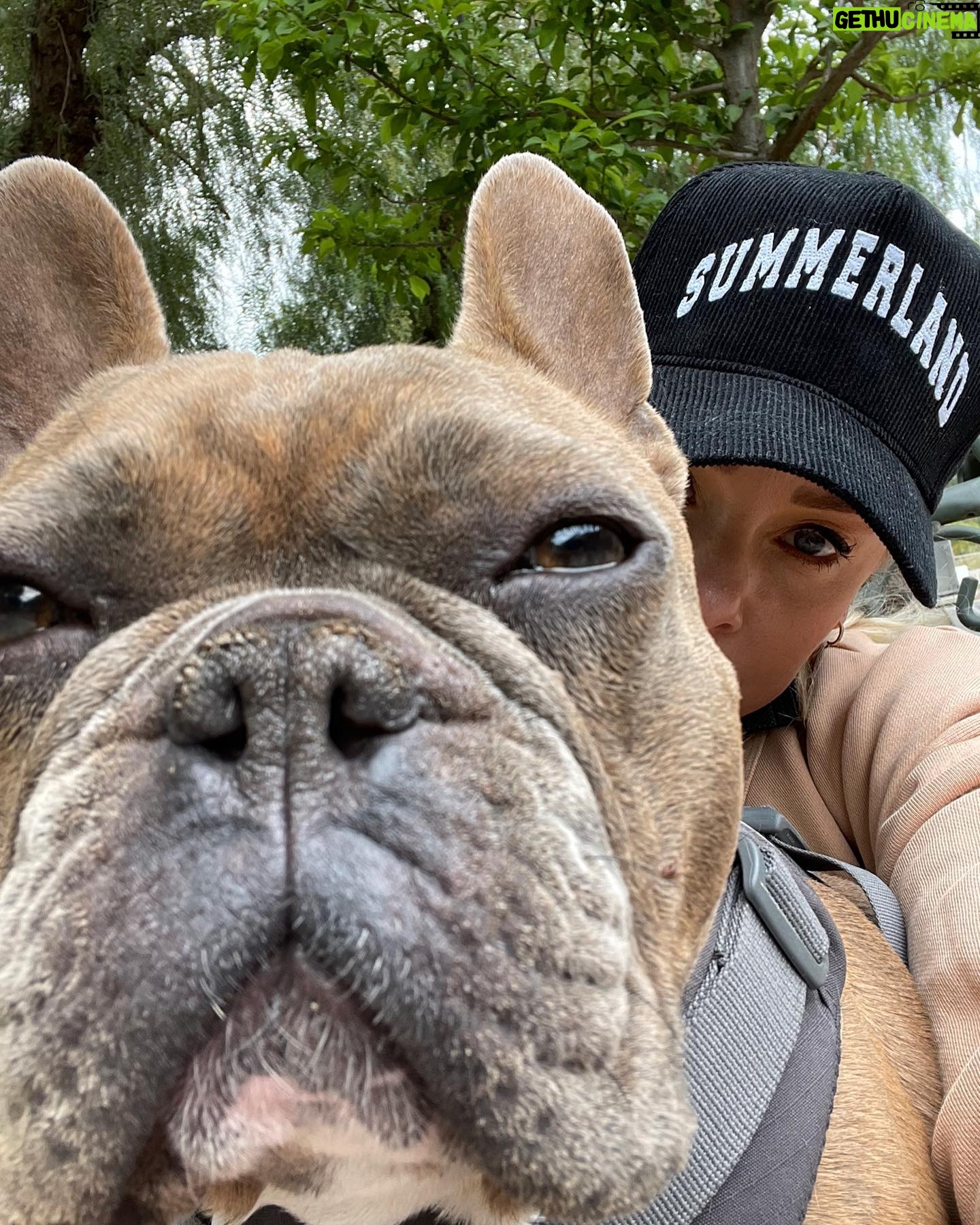 Jaime Bergman - 1.8K Likes - Barn Bully š¤Ø