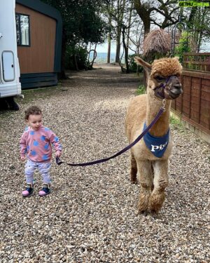 Jake Graf Instagram - Just back from a fab few days at @awayresortsholidays  in the New Forest with Hannah and the kids.👩🏼‍🤝‍👨🏻👶🏻👧🏻

This was my first EVER UK staycation and we all had a blast. 

Alpaca walking and arts and crafts and long walks and pony spotting and lunches in the sunshine and soft play and playgrounds and even a couple of hours in the pub with Hannah, thanks to her parents!🥳

We stayed at Sandy Balls (chortle!) and they're located UK wide. We'd defo head back in the Summer!😎

#holiday #staycation #uk #easter #break #family #fun #parenting #kids #cutekids #alpaca