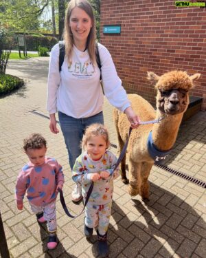 Jake Graf Instagram - Just back from a fab few days at @awayresortsholidays  in the New Forest with Hannah and the kids.👩🏼‍🤝‍👨🏻👶🏻👧🏻

This was my first EVER UK staycation and we all had a blast. 

Alpaca walking and arts and crafts and long walks and pony spotting and lunches in the sunshine and soft play and playgrounds and even a couple of hours in the pub with Hannah, thanks to her parents!🥳

We stayed at Sandy Balls (chortle!) and they're located UK wide. We'd defo head back in the Summer!😎

#holiday #staycation #uk #easter #break #family #fun #parenting #kids #cutekids #alpaca