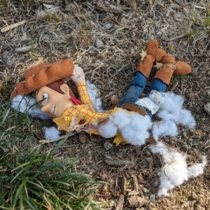 James A. Janisse Instagram - Went out for a responsibly socially distanced run and, uh... I think people are starting to lose it out here man