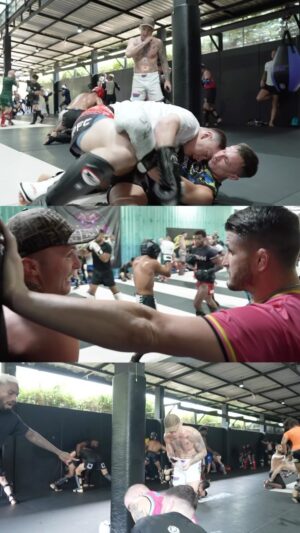 James Gallagher Instagram - MMA Sparring At Bangtao 🥊

@strabanimalmma shares his opinion about sparring here @bangtaomuaythaimma 🏝️

If you want to see what a sparring session looks like here at Bangtao, head over to our YouTube Channel to see the full episode 🔥

📸 @lucidcelt 

#teambangtao