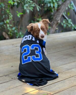 James Lafferty Instagram - LAST DAY to get your autographed (or not autographed) Ravens jersey. Follow the link in my bio to get yours before the campaign ends and keep yourself or furry friend game ready. You’ll also be supporting @t1international and their mission to make insulin more affordable to people living with T1 diabetes. Win/win for your wardrobe and the world. 

Thank you so much to everyone who’s already grabbed theirs. Very much looking forward to getting these out to you as soon as they’re ready! Much love!! ❤️🏀🙌 #insulin4all