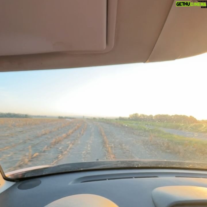 Jan Macák - 37.7K Likes - 1) Hasičak 2) Kdo platí párek z pumpy 3) Zajel jsem pro štěrk 4) Životní balanc 5) Klasickej mlíčňák 6) Cesta ze zahradnictví 7) Rada ze stěny na záchodech