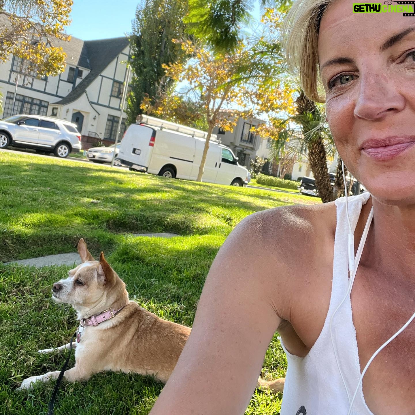Jana Lee Hamblin - 402 Likes - Back enjoying taking walks - and breaks- with Pip.
It’s been a hard 6 months of grieving. I can begin to see the light and joy again in my world.
Sending love to those who are struggling and to those who are thriving … and everyone in between. ❣️
PS- cheesy music for effect! 😁
