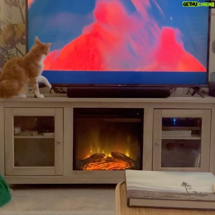 Jana Schmieding - 4K Likes - natch b*tch