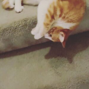 Jana Schmieding Instagram - sigh