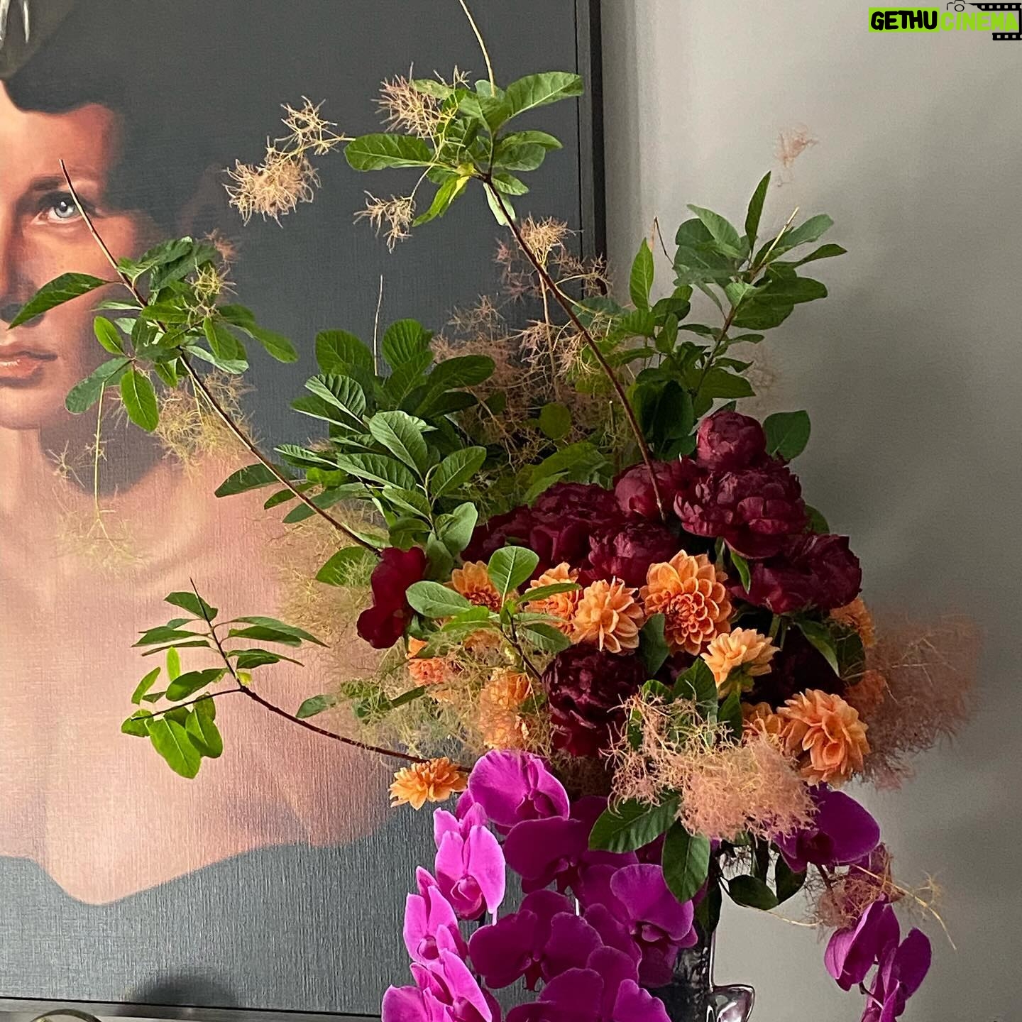 Jane Badler - 0.9K Likes - Happy Holidays everyone… today is my 33rd anniversary. I feel astonished and blessed to have made it through the trials and tribulations of life with this special man by my side.. Thank you @strownix for creating so much beauty in my home.. Merry Christmas everyone so grateful for your love ❤️