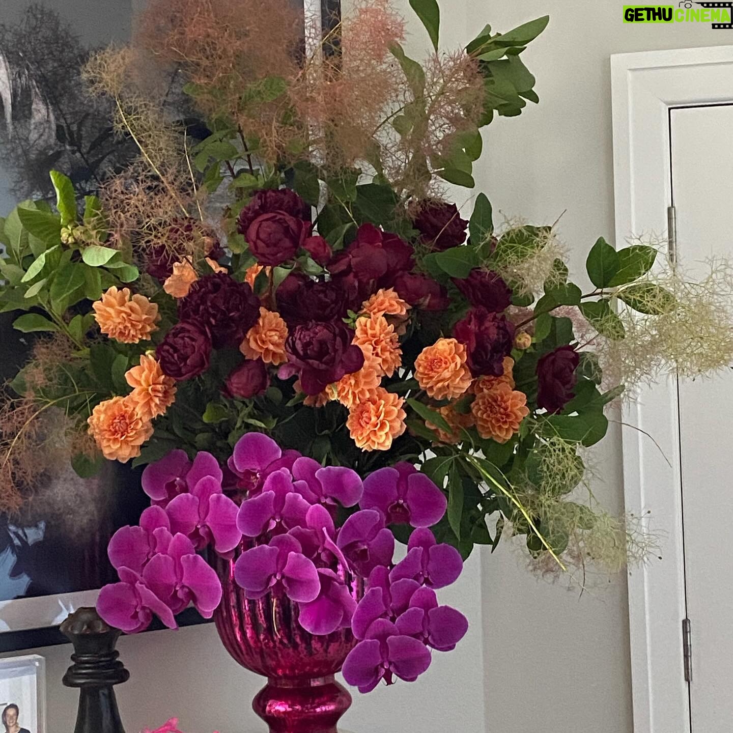 Jane Badler - 0.9K Likes - Happy Holidays everyone… today is my 33rd anniversary. I feel astonished and blessed to have made it through the trials and tribulations of life with this special man by my side.. Thank you @strownix for creating so much beauty in my home.. Merry Christmas everyone so grateful for your love ❤️