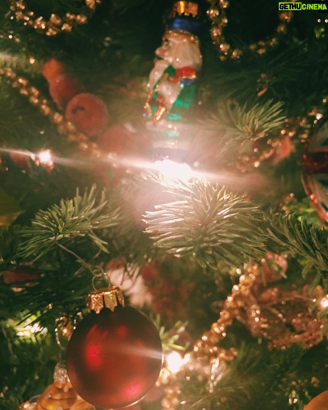 Jane Leeves - 499 Likes - Happy Holidays 🎄