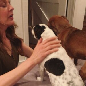Jane Leeves Instagram - At least somebody’s pleased to see me....