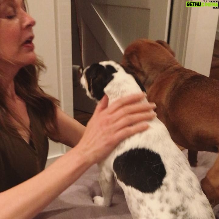Jane Leeves - 3.5K Likes - At least somebody’s pleased to see me....