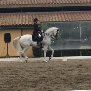 Jane Leeves Instagram - Les Miserables themed musical Grand Prix Freestyle at my daughters horse show. Wow.