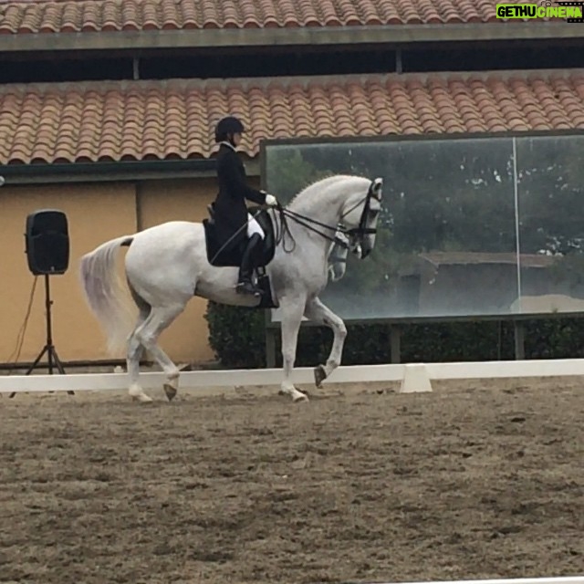 Jane Leeves - 404 Likes - Les Miserables themed musical Grand Prix Freestyle at my daughters horse show. Wow.