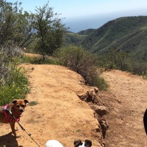 Jane Leeves Instagram - Beautiful hike in Malibu today with the pups and the daughter.