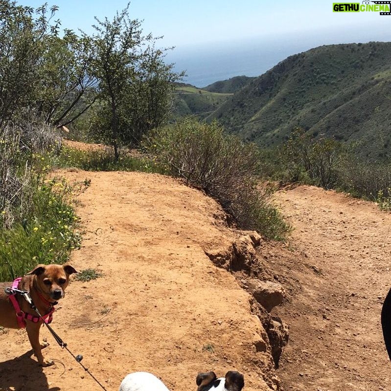 Jane Leeves - 491 Likes - Beautiful hike in Malibu today with the pups and the daughter.