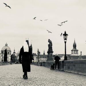 Janek Rubeš Instagram - #prague #charlesbridge #birds