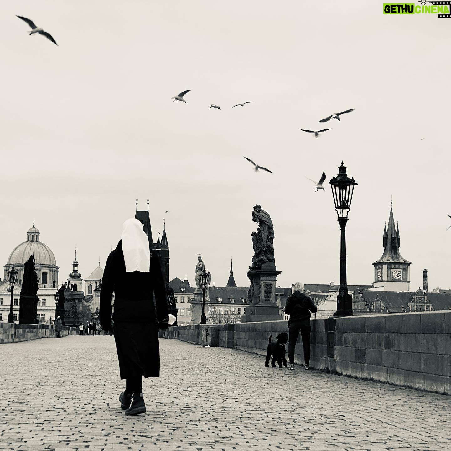 Janek Rubeš - 3.8K Likes - #prague #charlesbridge #birds