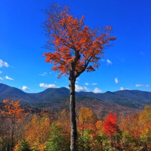 Janek Rubeš Instagram - #fall #newhampshire #autumn