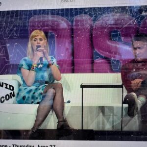 Janet Varney Instagram - Had an amazing time with our sublime #bravingtheelements team at #vidcon yesterday! & thx to our PHENOM panel guests @straw_hat_goofy , Lee of @teamtheorist & our own @michaelamostly !! 💙🤎🧡🤍
